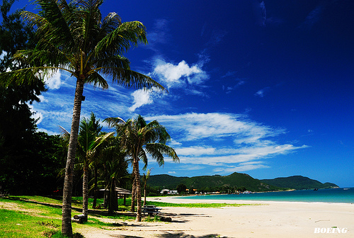 cong_ty_tnhh_thuong_mai_dich_vu_san_xuat_va_du_lich_chuon_chuon_xanh_87nwlW3L.jpg