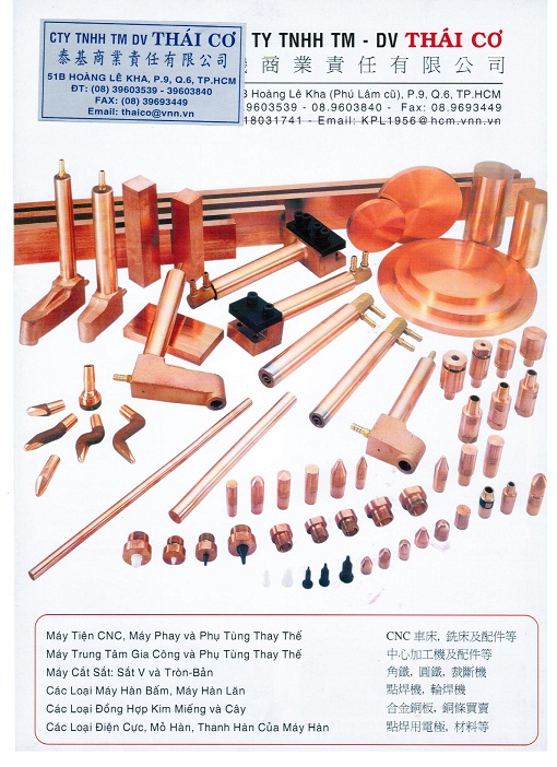 cong_ty_tnhh_thuong_mai_dich_vu_thai_co_017l7y1q.jpg