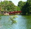 cong_ty_tnhh_thuong_mai_dich_vu_xinh_03xs9w98.jpg