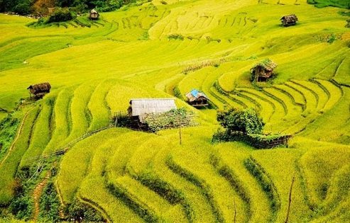 cong_ty_tnhh_thuong_mai_du_lich_au_lac_81uulf35.jpg