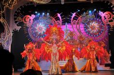 cong_ty_tnhh_thuong_mai_du_lich_bach_tung_viet_10nj6198.jpg