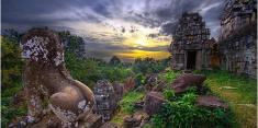 cong_ty_tnhh_thuong_mai_du_lich_bach_tung_viet_10yuu96a.jpeg