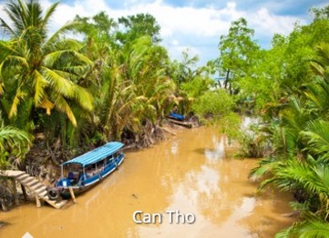 cong_ty_tnhh_thuong_mai_du_lich_dau_chan_39fk5z7s.jpg