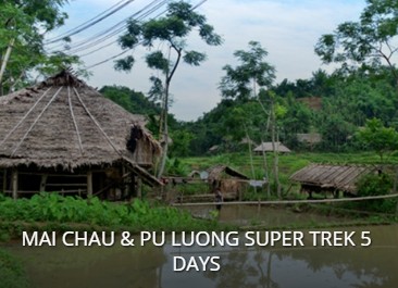 cong_ty_tnhh_thuong_mai_du_lich_dau_chan_39h5mipl.jpg