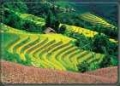 cong_ty_tnhh_thuong_mai_du_lich_hoang_giang_viet_692bard0.jpg