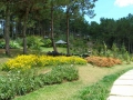 cong_ty_tnhh_thuong_mai_du_lich_hoang_giang_viet_69s36NL0.jpg