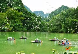 cong_ty_tnhh_thuong_mai_du_lich_mua_he_xanh_63llyaQX.jpg