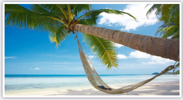 cong_ty_tnhh_thuong_mai_du_lich_sao_quoc_do_qstar_tour_99cl6lvV.jpg