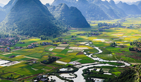 cong_ty_tnhh_thuong_mai_va_dich_vu_du_lich_sao_mai_491PYWDM.jpg