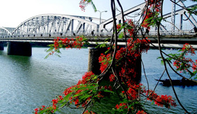 cong_ty_tnhh_thuong_mai_va_dich_vu_du_lich_sao_mai_49804W99.jpg