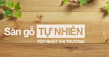 cong_ty_tnhh_thuong_mai_va_dich_vu_thien_sinh_phat_074nz6nd.jpg
