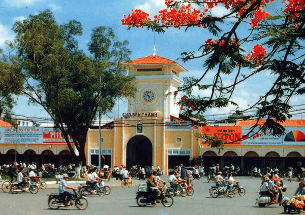 cong_ty_tnhh_timur_travel_64208yay.jpg