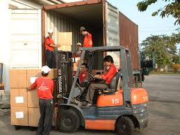 cong_ty_tnhh_tin_phat_logistic_866EF591.jpg