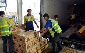 cong_ty_tnhh_tin_phat_logistic_8682m79u.jpg