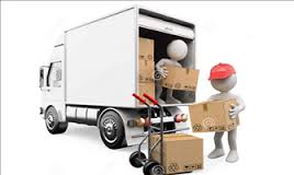 cong_ty_tnhh_tin_phat_logistic_86S4QU20.jpg