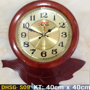 DHSG- S09