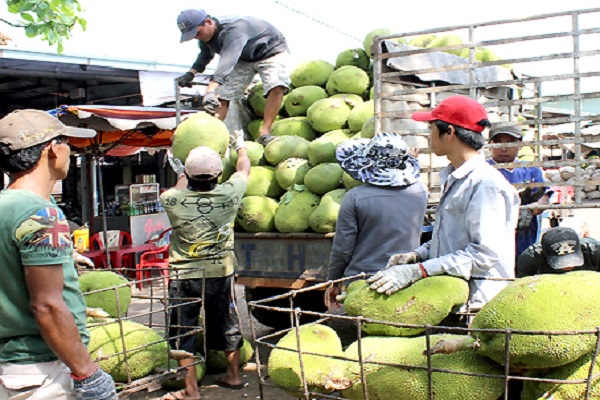cong_ty_tnhh_van_tai_dich_vu_chuyen_phat_nhanh_le_chau_37cgvy0j.jpg