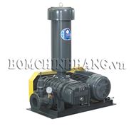 cong_ty_tnhh_viking_thai_binh_duong_83h58dq8.jpg