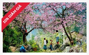 cong_ty_tnhh_xay_lap_va_dich_vu_thuong_mai_du_lich_bang_giang_090v36M7.jpg