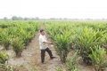 cong_ty_tnhh_xu_ly_moi_truong_thuan_viet_03x1af84.jpg