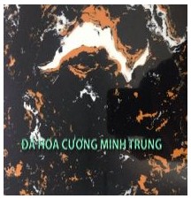 cua_hang_da_hoa_cuong_minh_trung_155r4eyU.jpg