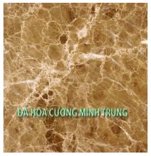 cua_hang_da_hoa_cuong_minh_trung_158614f2.jpg