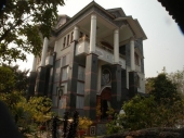 da-hoa-cuong-mat-tien-110392.jpg