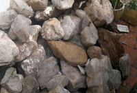 da-soi-140860.jpg