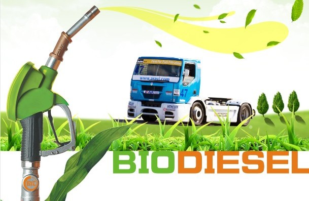 Dầu Bio Diesel