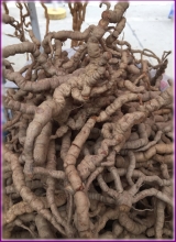 doanh_nghiep_tu_nhan_trong_duc_10vlubRR.jpg