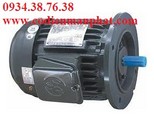 dong-co-dien-dong-co-dien-150637.jpg