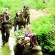 du-lich-buon-ma-thuot-159194.jpg