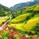 du-lich-sapa-159196.jpg