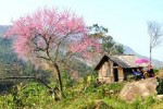 du-lich-xu-so-suong-mu-sapa-31772.jpg