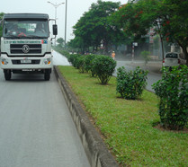 duy-tu-duy-tri-cay-xanh-31674.jpg