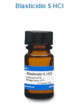 hoa-chat-blasticdin-92088.jpg
