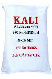 Hóa chất KCL (Kali Clorua)