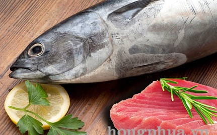 huong-ca-ngu-tuna-68045.jpg
