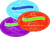 in-decal-nhan-83998.jpg