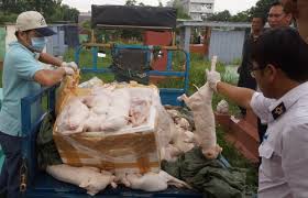 lon-con-dong-lanh-130908.jpg