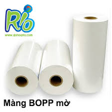 mang-bopp-94748.jpg