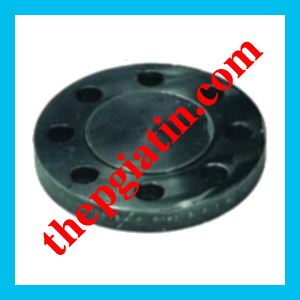 mat-bich-mu-bich-thep-tieu-chuan-ansi-class150-300-105901.jpg