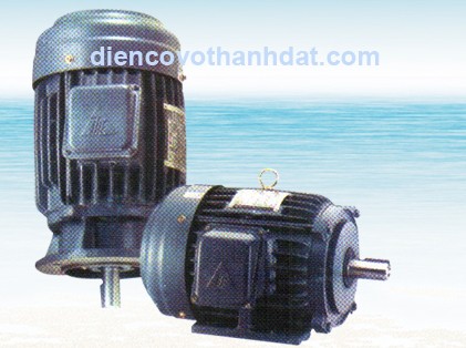 motor-teco-taiwan-160232.jpg