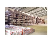 nhom-thanh-tungshin-he-cua-la-sach-48612.jpg