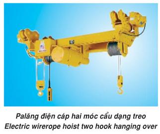 pa-lang-dien-cap-hai-moc-74674.jpg