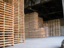 pallet-go-01-94699.jpg