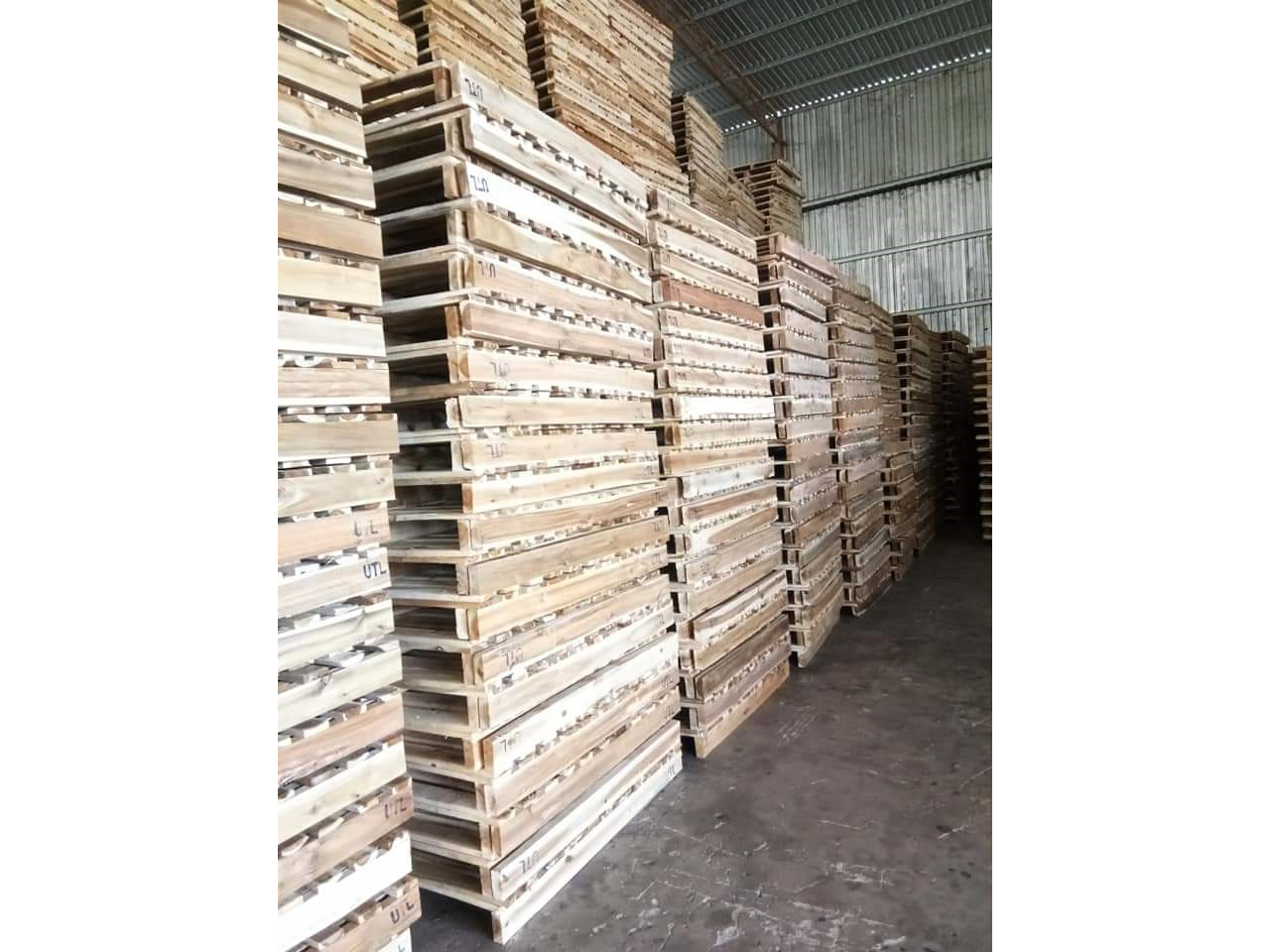 pallet_viet_truong_hai_cong_ty_tnhh_sx_tmdv_viet_truong_hai_2135oqWM.jpg