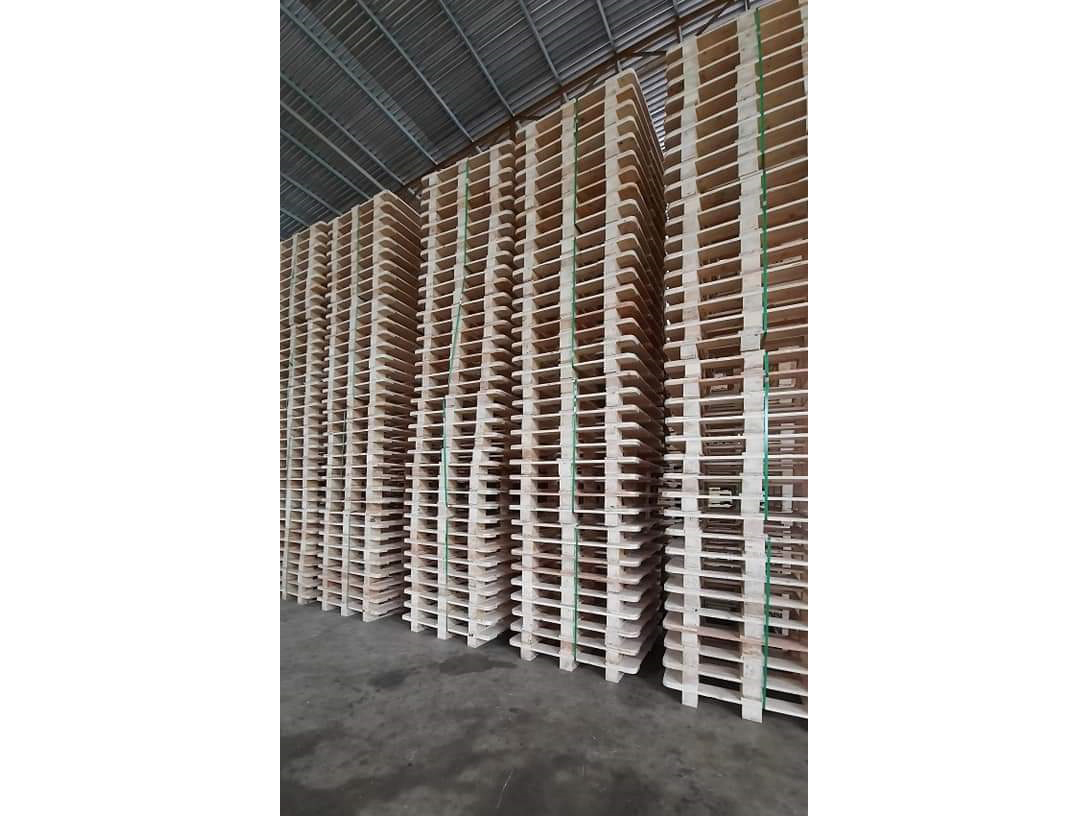 pallet_viet_truong_hai_cong_ty_tnhh_sx_tmdv_viet_truong_hai_217skgj5.jpg