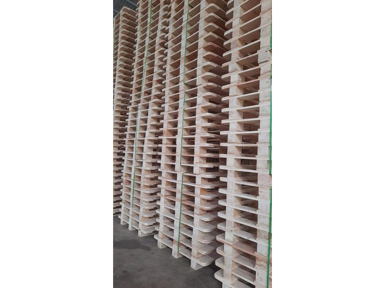 pallet_viet_truong_hai_cong_ty_tnhh_sx_tmdv_viet_truong_hai_218KDPMC.jpg