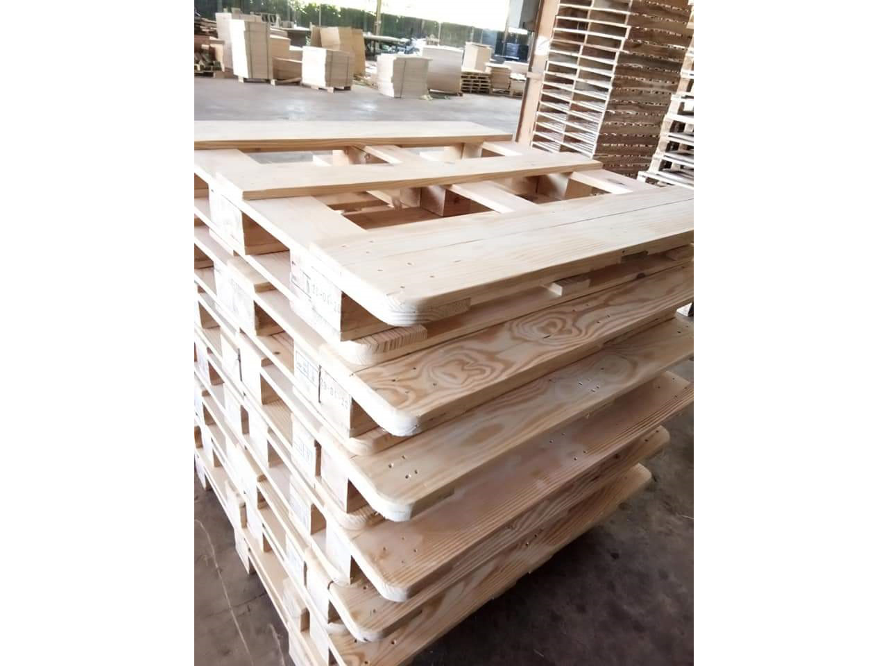 pallet_viet_truong_hai_cong_ty_tnhh_sx_tmdv_viet_truong_hai_21fo6gpx.jpg